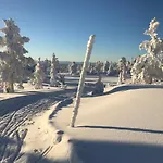 Tyrifjord 4* Vikersund