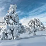 Tyrifjord 비케르순드