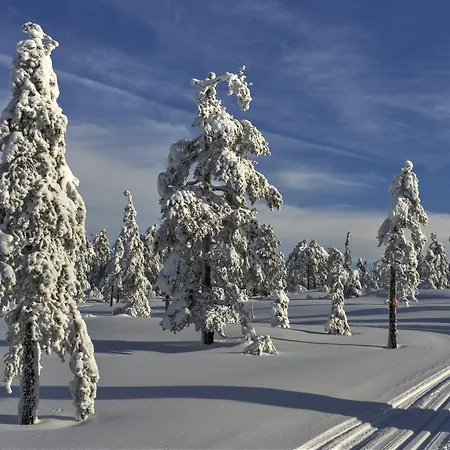 Szálloda Tyrifjord Vikersund