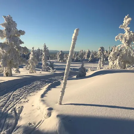 Tyrifjord 4* Vikersund