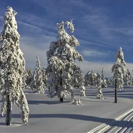 Tyrifjord Vikersund
