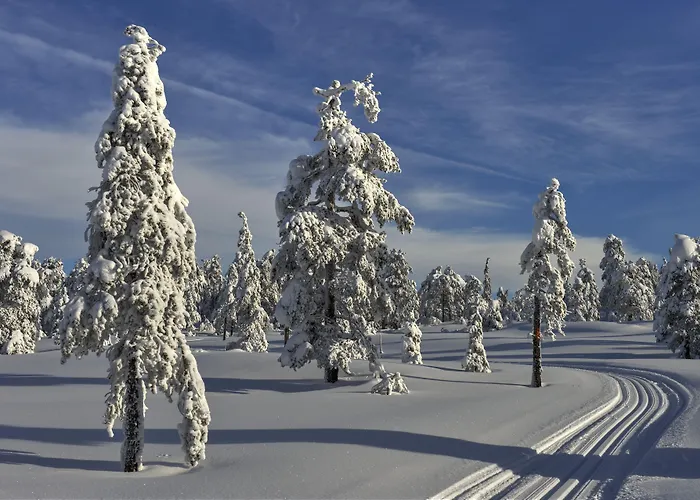 ホテル Tyrifjord Vikersund