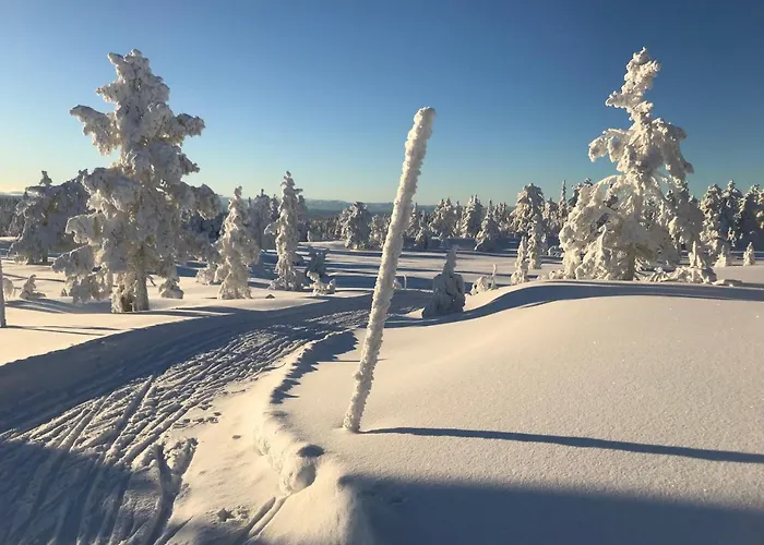 Tyrifjord 4* Vikersund