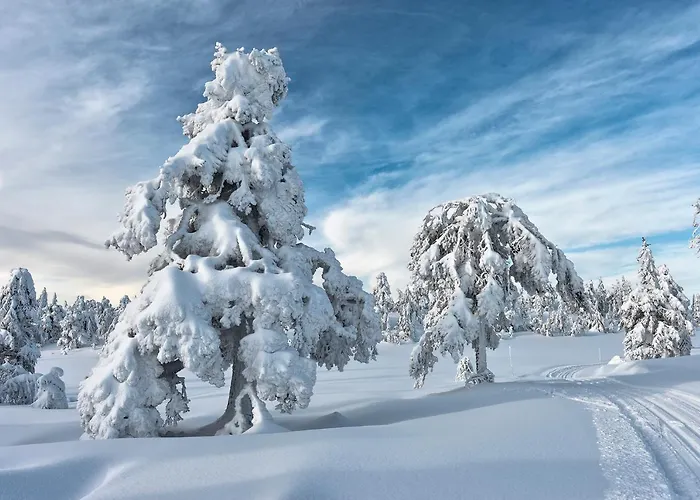 Tyrifjord Vikersund